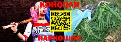 сатива Боровичи